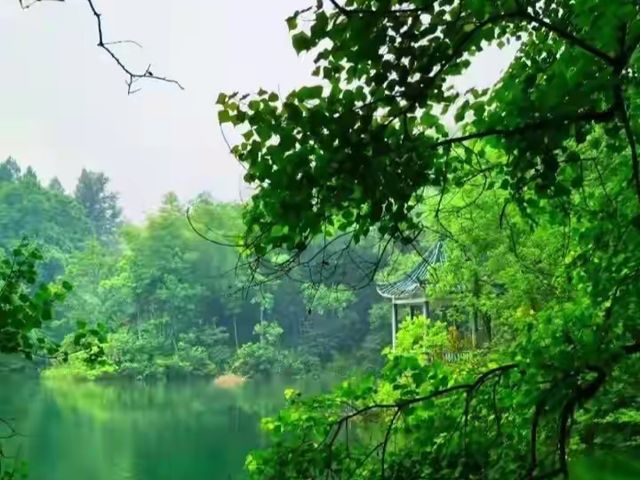 獨家揭秘，花岩溪保姆級攻略：一步一景，讓你的旅行不留遺憾！