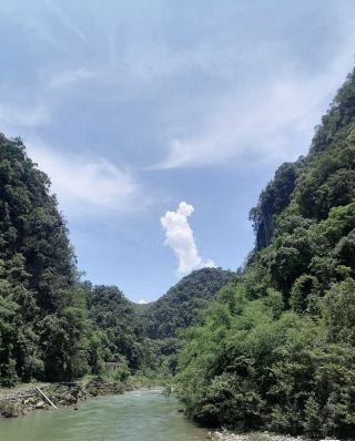 Mulu Karst Ecology