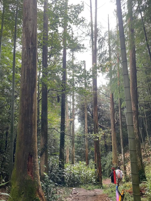 莆田仙遊縣石谷解 | 天然氧吧徒步旅行勝地。