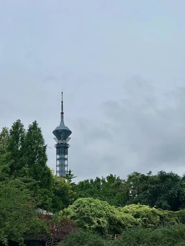 백리천로(百里天路).