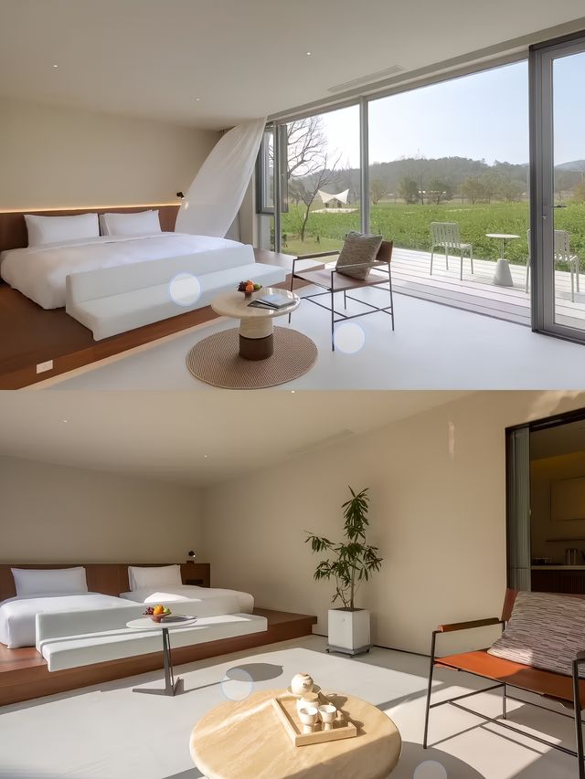 飛茑集·澡雪佳隱,美術館裡的山野民宿奇遇記。 飛茑集·澡雪佳隱,美術館裡的山野民宿奇遇記。