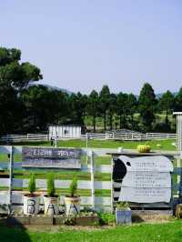 濟州島：一個唔同凡響嘅旅遊攻略，令你愛上呢塊土地。