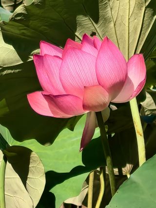 다우로 바람을 들으러 가다.