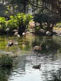 香港感受最好的公園。