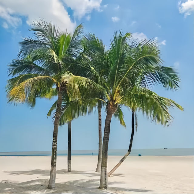 打卡珠海日月貝大劇院