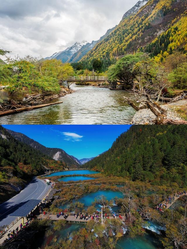 川西的秋景！比起四姑娘山，我更愛這個免費彩林。