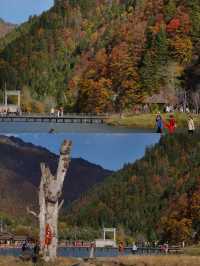川西的秋景！比起四姑娘山，我更愛這個免費彩林。