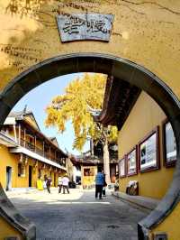 蘇州定慧寺千年銀杏和蘇東坡遺跡！。