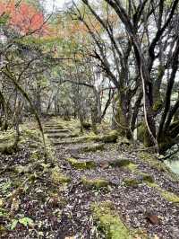 索松村 - 南迦巴瓦大本營 - 索松村。