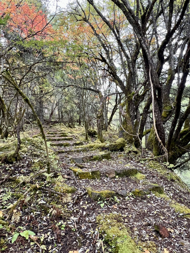 索松村 - 南迦巴瓦大本營 - 索松村。