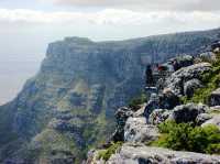 Table Mountain National Park 遊玩攻略。