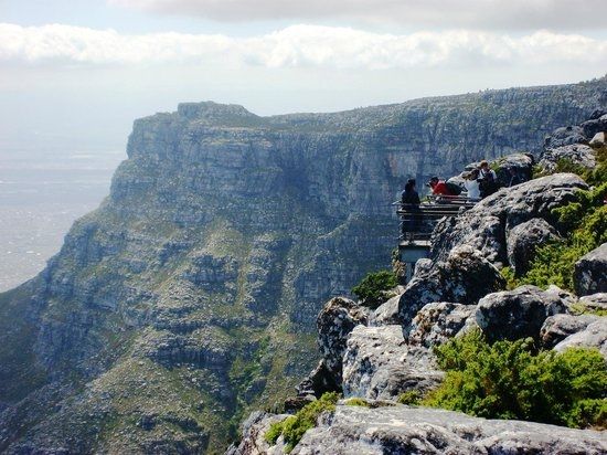 Table Mountain National Park 遊玩攻略。