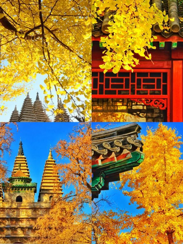 印度伽耶：穿越時空的靈性之旅。