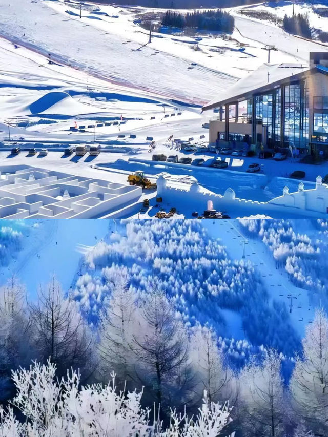 雪鄉亞布力陽光滑雪場別墅民宿旅遊攻略。