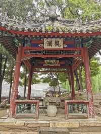 【河北保定】古蓮花池。。