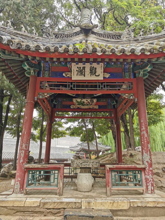 【河北保定】古蓮花池。。