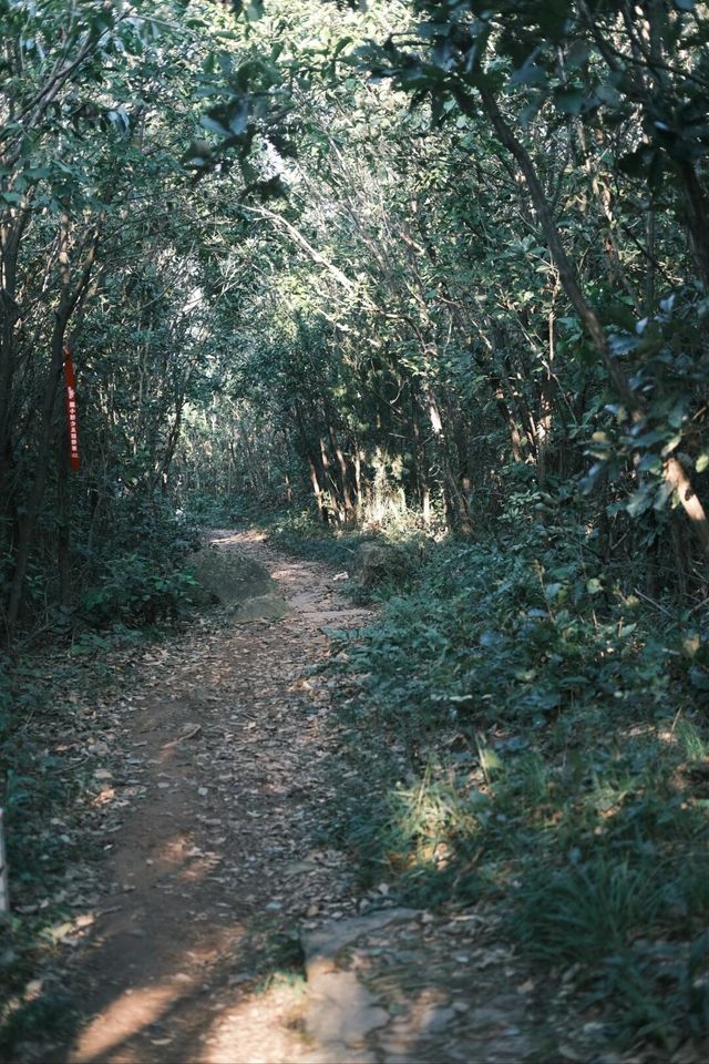 漁洋山蝙蝠線 |據說是蘇州的阿勒泰。