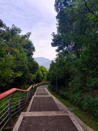 週末打卡‖淘金山綠道。