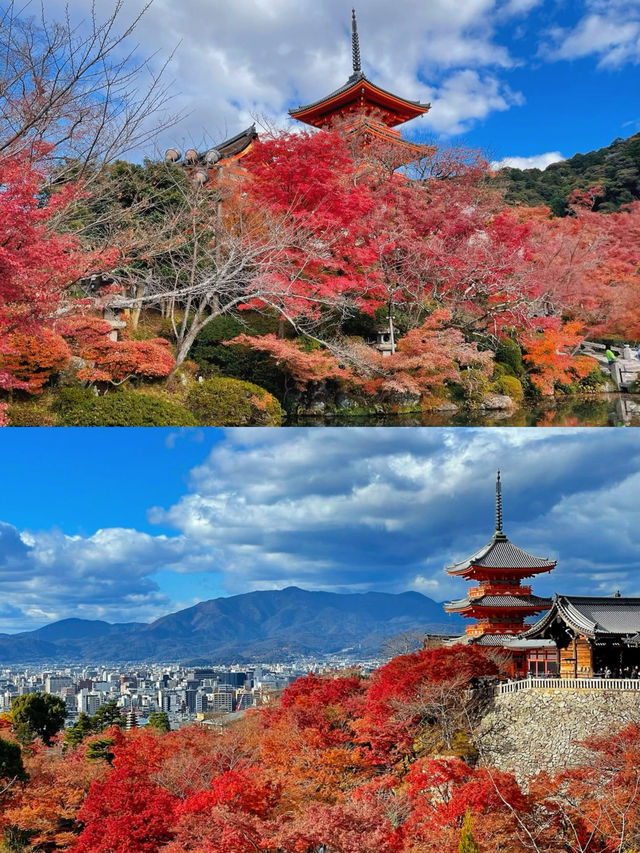 京都賞楓圖鑑：清水寺。