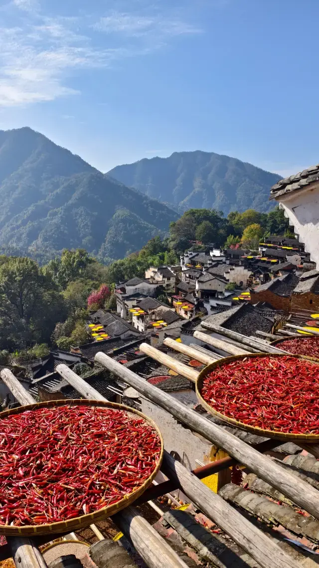 A sun-drying harvest full of ceremony. 