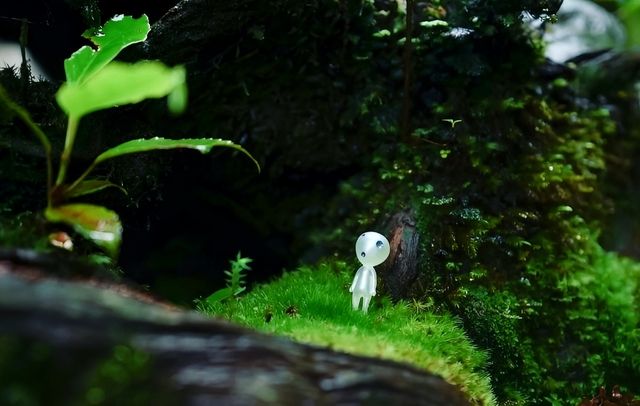 行山秘笈—日本屋久島等你來。