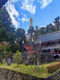 Travel Experience to Nikko's Toshogu Shrine on November 3rd