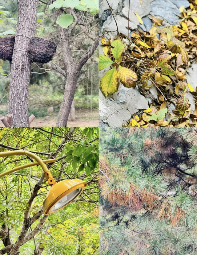保定免費的公園~看這裡。