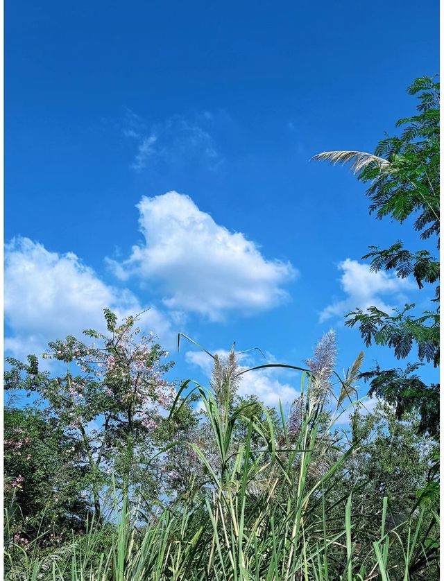 成都周末周邊遊必打卡：三岔湖景區及周邊。