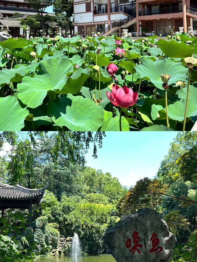 常州「金菠蘿」——寶林禪寺。 常州「金菠蘿」——寶林禪寺。