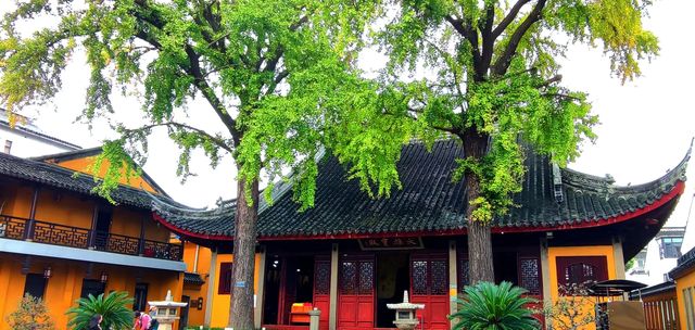 定慧寺裡的銀杏葉還未全黃。