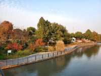 閔行文化公園。