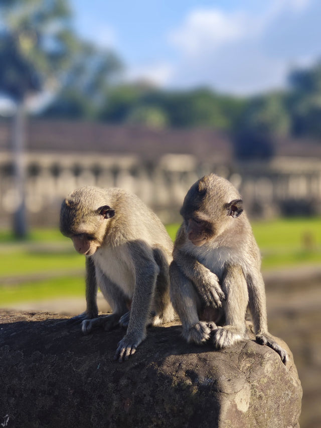 Explore Angkor Wat's Grand and Small Circuits in One Day