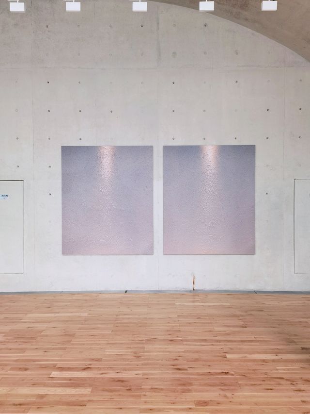 龍美術館建築的獨特性，與「繪畫」作品相得益彰。