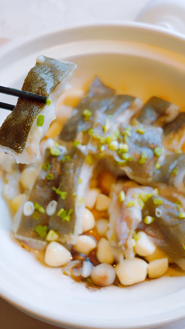 對著綠意盎然來一頓高性價比餐食 心情大好