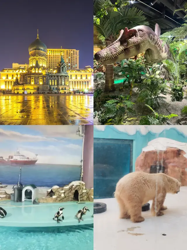 哈爾濱極地館旅遊攻略