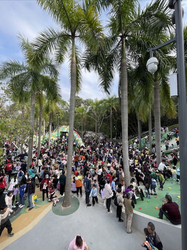 深圳龍華公園又對外開放啦！