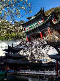 麗江古城能看到玉龍雪山的一個美麗公園