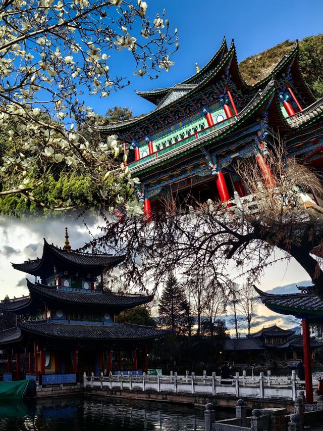 麗江古城能看到玉龍雪山的一個美麗公園