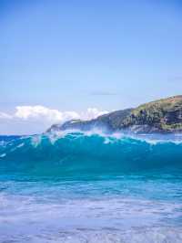 冬日逃離寒冬 7日巴厘島盡享暖陽