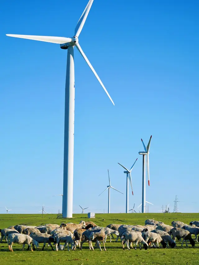 내몽골-샹사완 5일 스키 여행 완벽 가이드 미리보기