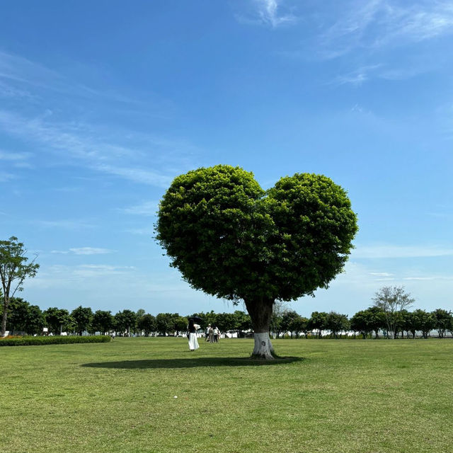 潮聲與光影交織的藝術殿堂