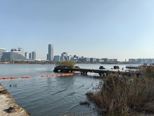 上海西岸夢中心
