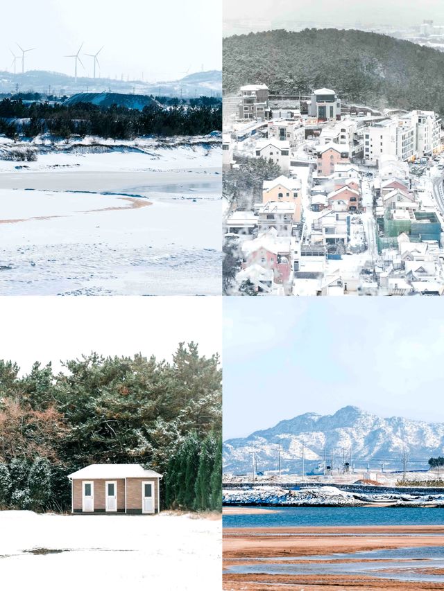 雪的浪漫，威海獨領風騷