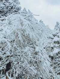 龍蒼溝雪景