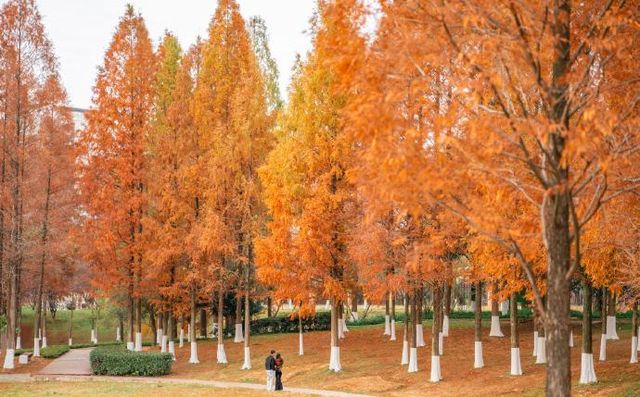 長沙·長沙園林生態園：城市綠洲