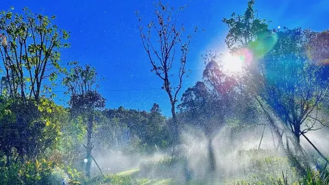 Ở Sở Hùng Mộ Đỉnh, nhất định phải ghé thăm lữ quán ở Nghĩa Hòa Viên, đáng để khóc lắm! — traveler post in Mưu Định