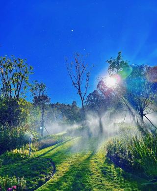 Chuxiong Mouding, a must-visit inn in Yiheyuan, worth crying for! 