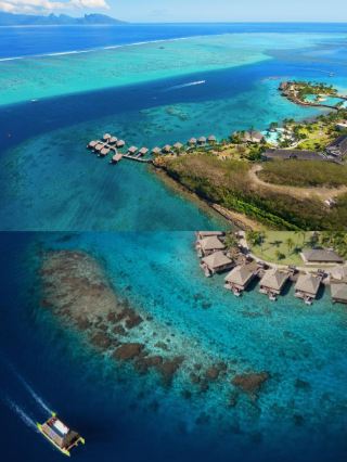 "Dreamy Island, Luxurious Experience: Why InterContinental Tahiti is Your Next Vacation Paradise" 