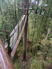 Experience the Thrill of Capilano Suspension Bridge Park