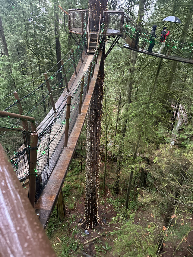 Experience the Thrill of Capilano Suspension Bridge Park